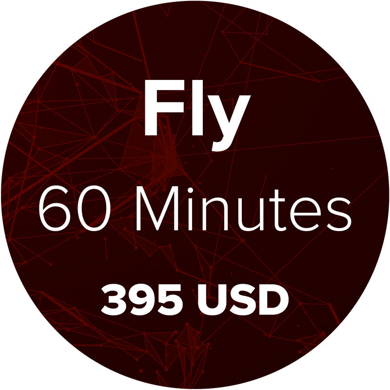 Picture describing the Coaching On-Demand Fly Package for a 60-Minute Online Coaching Session for 395 USD